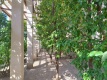limonaia-torri-del-benaco-9